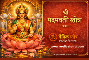 daily lakshmi stotra for money